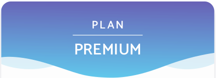 Dropshipping Premium