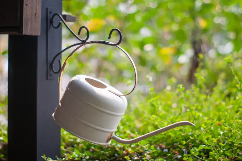 Arrosoirs de jardin design : votre prochain coup de cœur déco
